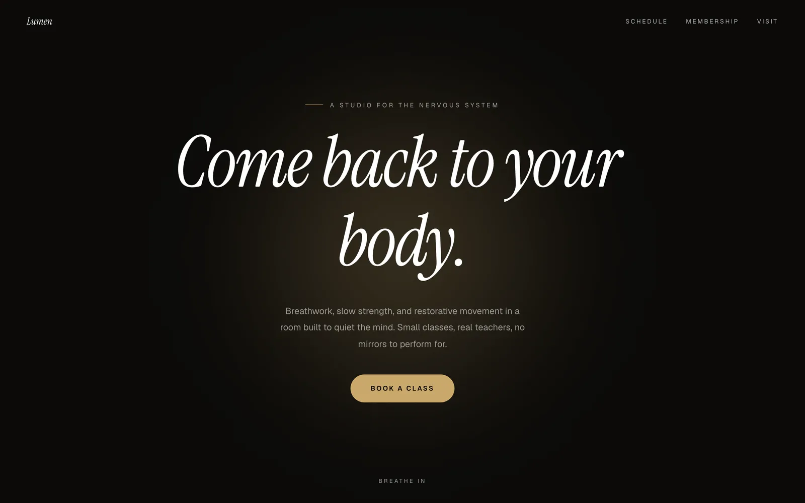 Lumen, A movement and wellness studio, dark and serene. Schedule, practitioners, and memberships that sell.